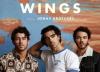 متن و ترجمه آهنگ Wings از گروه Jonas Brothers